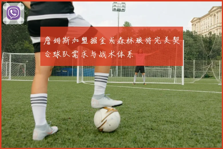 詹姆斯加盟掘金或森林狼将完美契合球队需求与战术体系