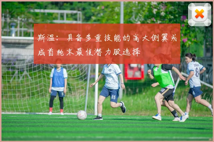 斯温：具备多重技能的高大侧翼或成首轮末最佳潜力股选择