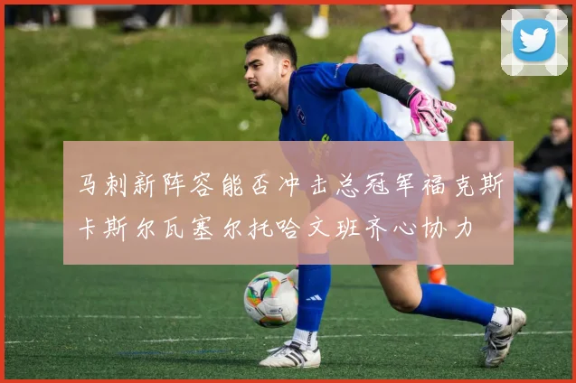 马刺新阵容能否冲击总冠军福克斯卡斯尔瓦塞尔托哈文班齐心协力