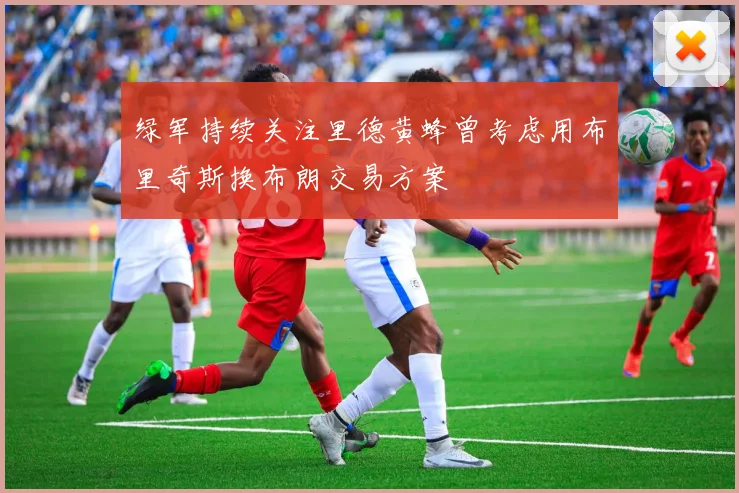 绿军持续关注里德黄蜂曾考虑用布里奇斯换布朗交易方案
